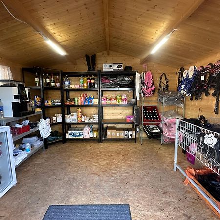 Fewo Im Reit- Und Ponyparadies Roos Halle  Buitenkant foto