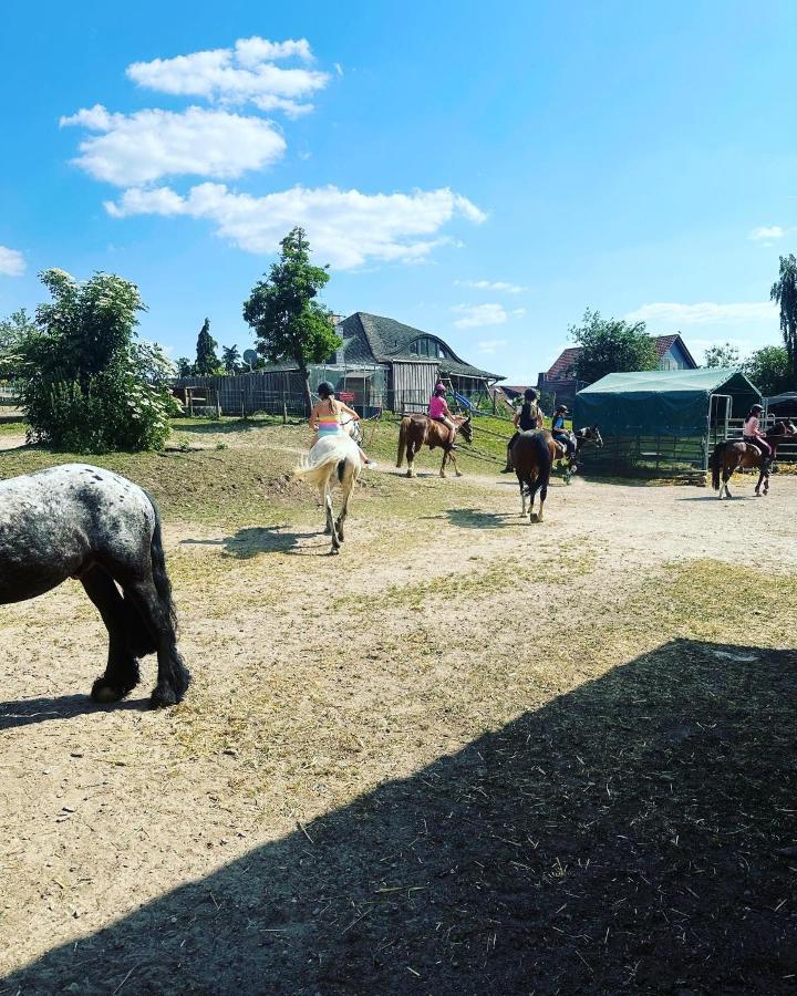 Fewo Im Reit- Und Ponyparadies Roos Halle  Buitenkant foto