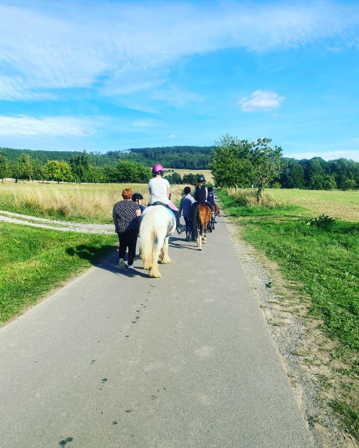 Fewo Im Reit- Und Ponyparadies Roos Halle  Buitenkant foto