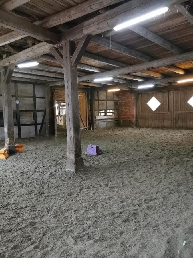 Fewo Im Reit- Und Ponyparadies Roos Halle  Buitenkant foto