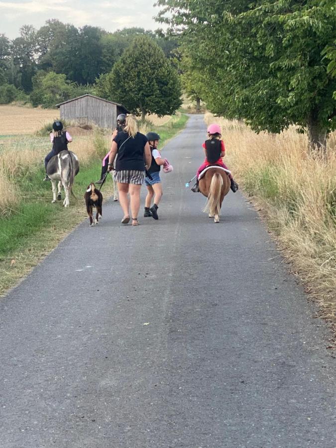 Fewo Im Reit- Und Ponyparadies Roos Halle  Buitenkant foto