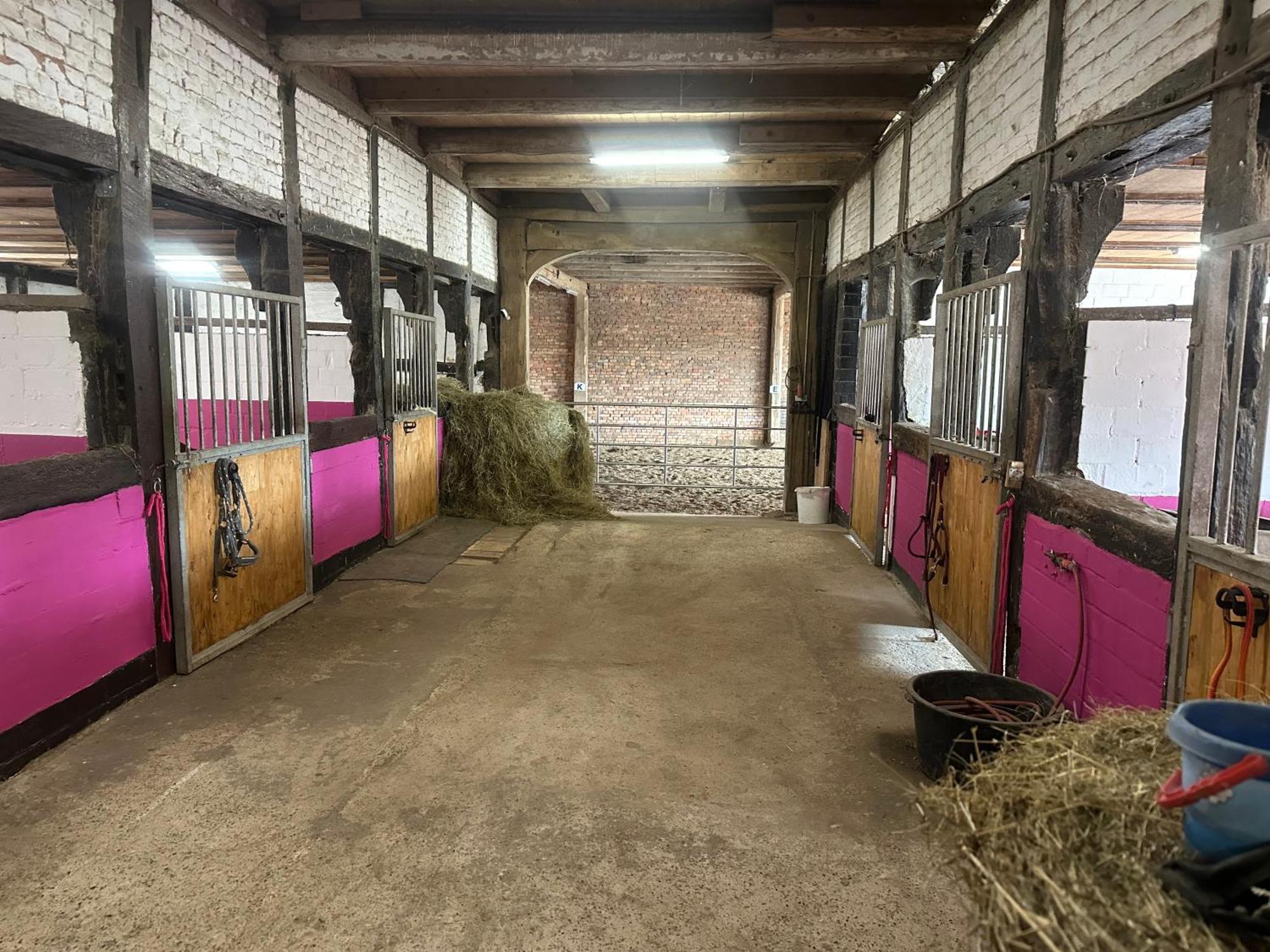 Fewo Im Reit- Und Ponyparadies Roos Halle  Buitenkant foto