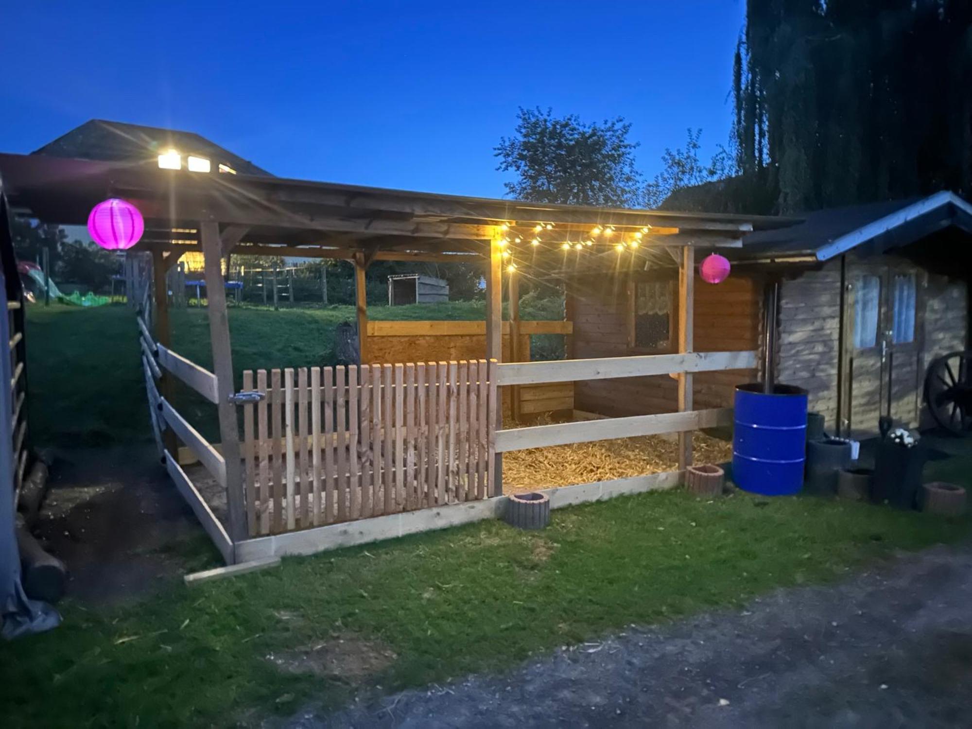 Fewo Im Reit- Und Ponyparadies Roos Halle  Buitenkant foto